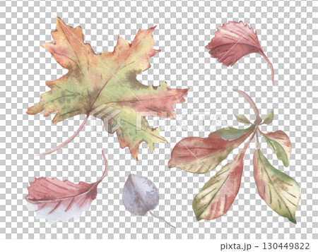 Autumn Leaves soft watercolor set isolated. Maple, chestnut foliate botanical sketch hand drawn pastel pink green colors. Fall pastel foliage painting clipart for packaging, greeting seasonal cards. 130449822