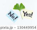 紙に書かれたイエスとノーの英文字と葉 130449954