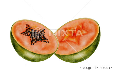 Papaya watercolor. Hand drawn ripe tropical fruit on white background. Ideal for logo, cosmetics and product packaging 130450047