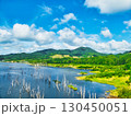 真夏の風景 130450051