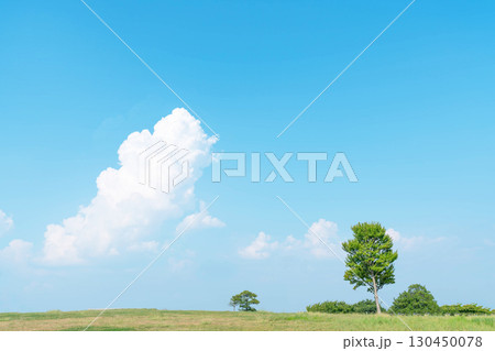 青空と雲と草原 青空と雲と草原 130450078