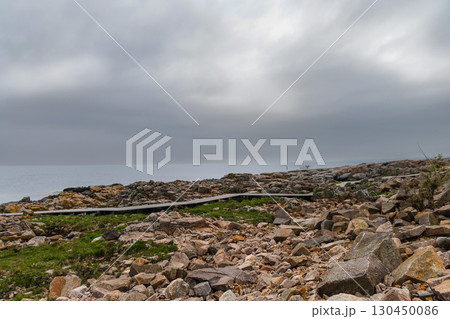 Rocky seashore. Stones covered with yellow and green moss and cloudy sky. 130450086