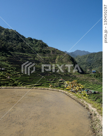 フィリピンのバナウェ フィリピンのバナウェ 130450297