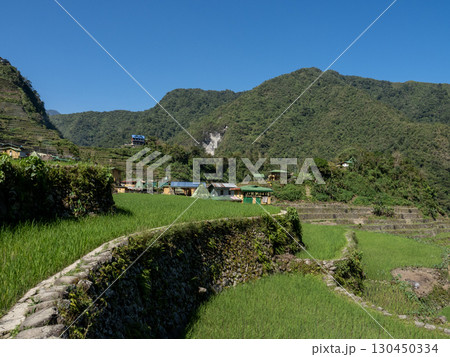 フィリピンのバナウェ 130450334