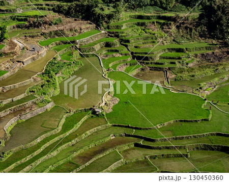 フィリピンのバナウェ 130450360