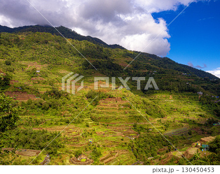 フィリピンのバナウェ フィリピンのバナウェ 130450453