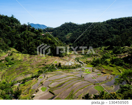 フィリピンのバナウェ 130450505