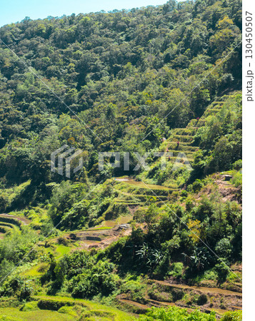 フィリピンのバナウェ フィリピンのバナウェ 130450507