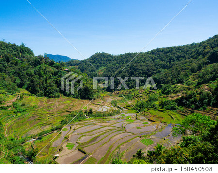 フィリピンのバナウェ 130450508