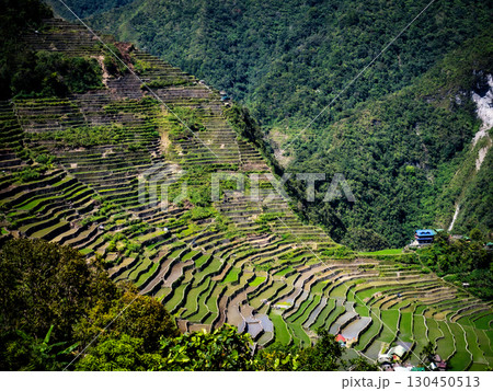 フィリピンのバナウェ 130450513