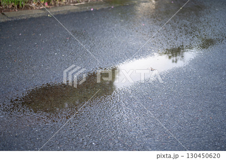 雨の日 水たまり 水溜まり 雨天 天気 イメージ 130450620