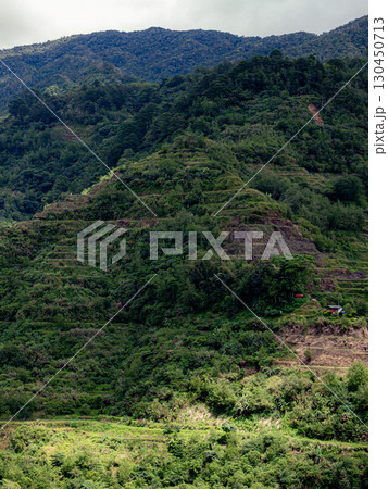 フィリピンのバナウェ 130450713