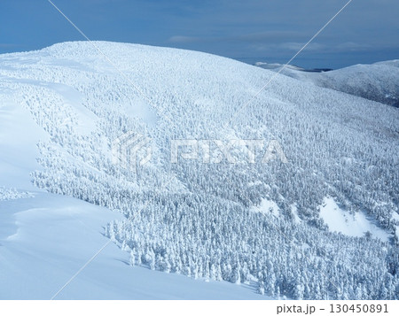 冬の吾妻連峰・西吾妻山の樹氷の森 130450891
