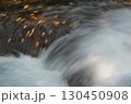 渓流の岩肌にはり付く落葉（龍頭八重滝県立自然公園：雲南市） 130450908