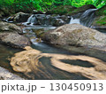緑の中を流れる清流（龍頭八重滝県立自然公園：雲南市） 130450913