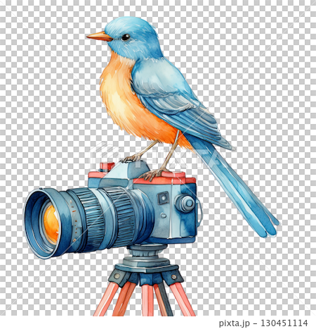 一隻藍鳥坐在單眼相機上 130451114