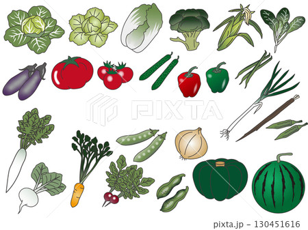 野菜セット 130451616