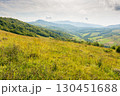mountain landscape with forest on the hill. transcarpathia region. grassy countryside pasture of ukraine. warm early autumn weather with cloudy sky. open vista 130451688