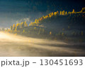 morning fog in mountain landscape. autumn in transylvania. beautiful scenery with trees on the hill among glowing mist. scenic nature background under light blue sky 130451693
