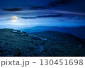 mountain landscape in summer at night. green hill and blue sky. scenic nature background for travel in alpine scenery. peaceful view in full moon light 130451698