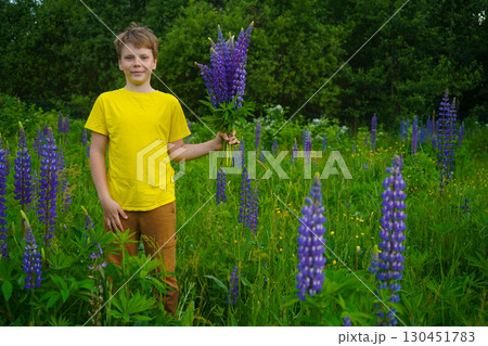 A boy wearing yellow is standing in a lively lupine field, smiling with happiness. 130451783