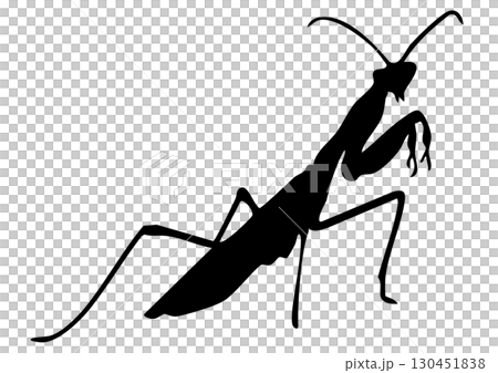 螳螂剪影 螳螂剪影 130451838