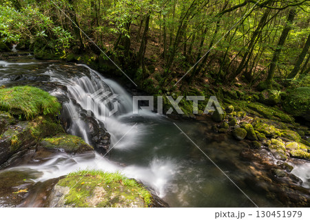 自然の中に流れる清流感ある菊池渓谷につながる滝 130451979