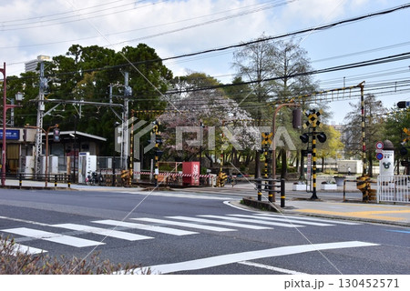 大津市　京阪電車大津市役所前駅と踏切 130452571