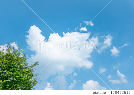 青空と雲と木立 130452613