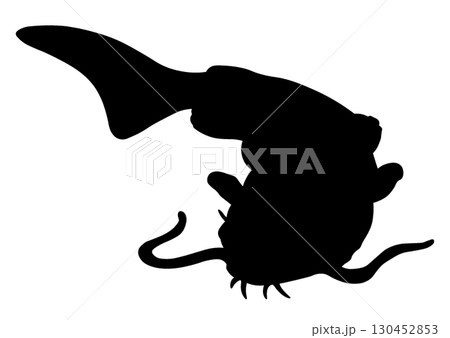 ナマズのシルエット 130452853