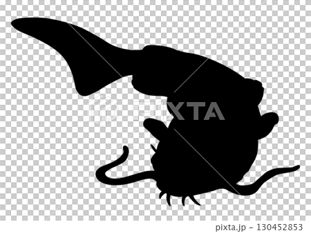 ナマズのシルエット 130452853