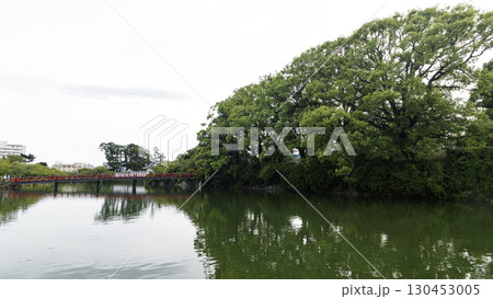 小田原城址の夏 130453005