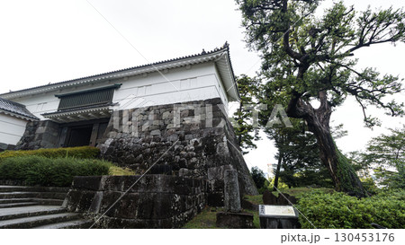 小田原城址の夏 130453176