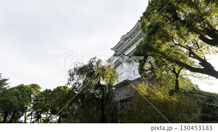 小田原城址の夏 小田原城址の夏 130453183