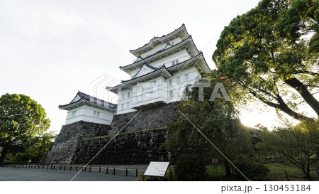 小田原城址の夏 130453184