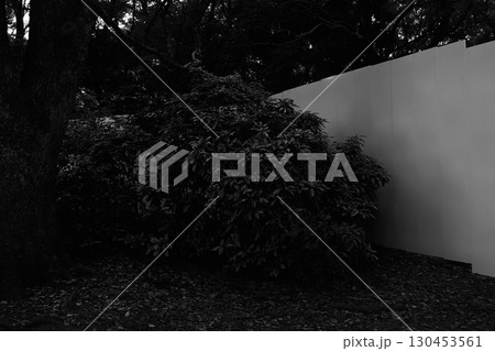 ここから何か出てくる？・モノクロ 130453561