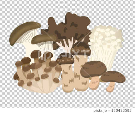 Assorted mushrooms: Maitake, Enoki, Shiitake, Matsutake, Shimeji, King Oyster Mushroom 130453593