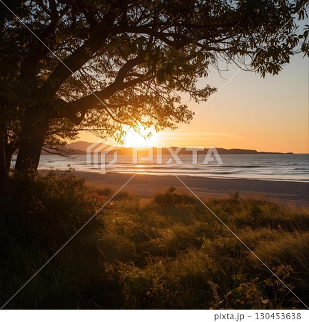 夏の夕日に染まる湖畔 130453638