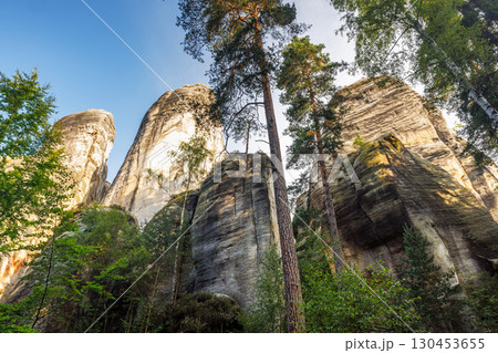 Adrspach-Teplice Rocks, sandstone formations in Hradec Kralove Region in Czech Republic, Europe. Dramatic rock formations ascend skyward amidst verdant foliage, creating a picturesque landscape scene. 130453655