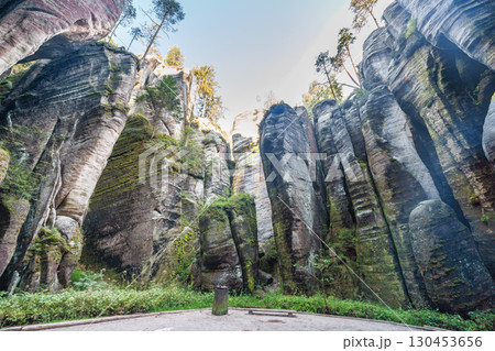 Adrspach-Teplice Rocks, sandstone formations in Hradec Kralove Region in the Czech Republic, Europe. Striking rock formations covered in moss with green bushes at the base under a sunny blue sky. 130453656