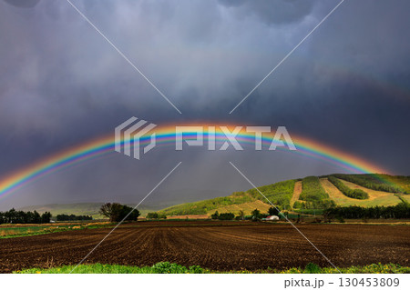 雨上がりの空にかかる鮮やかな二重の虹 雨上がりの空にかかる鮮やかな二重の虹 130453809