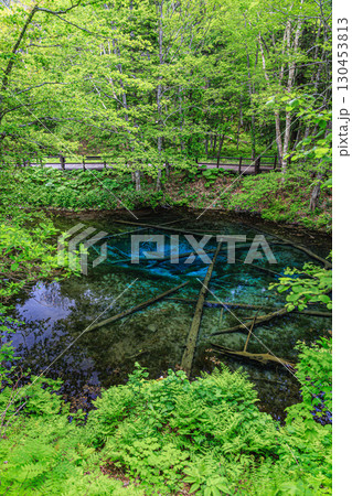 澄み渡る水面と倒木の青い池・阿寒摩周国立公園 澄み渡る水面と倒木の青い池・阿寒摩周国立公園 130453813