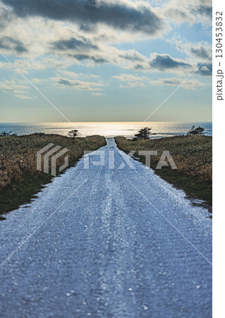宗谷丘陵の大地を彩る白い道 宗谷丘陵の大地を彩る白い道 130453832