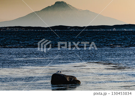 利尻島を望む黄昏の海景色 130453834