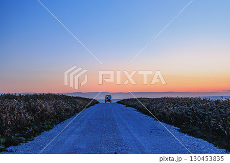 夕暮れの白い道、海へと続く一本道 夕暮れの白い道、海へと続く一本道 130453835