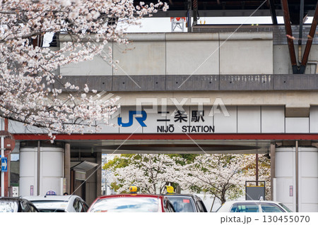 満開の桜と春のJR二条駅。京都市中京区、京都府 130455070