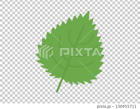 Simple illustration of perilla 130455711