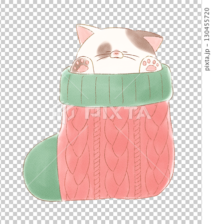 Cat sleeping in a sock 130455720
