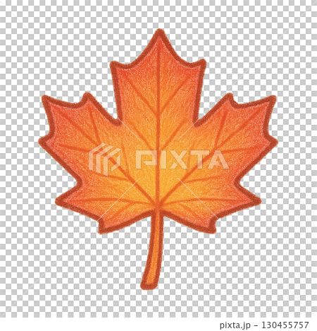 色鉛筆風の紅葉の葉のイラスト 色鉛筆風の紅葉の葉のイラスト 130455757