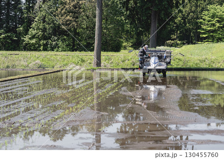 田植え機で稲を植える農作業の風景 130455760